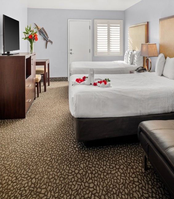 Luxury Room