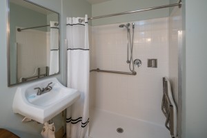 ADA Complaint Bathroom with roll-in shower